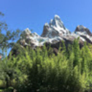 Meet your Posher, Luna